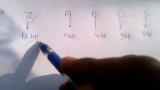 DNA base pair trick смотреть онлайн