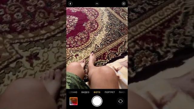 ЕслиЭто Симба старше то это может быть персик или наш кот я не знаю что причём￼ смотреть онлайн