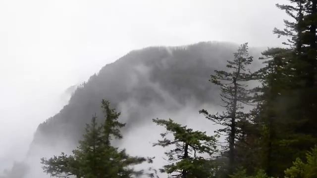 ACG Community Indian Point Hike - The Culture PDX смотреть онлайн