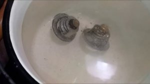 Как проверить термостат. Сравним старый и новый термостат.