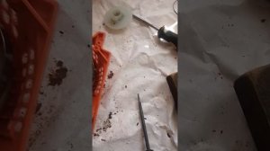 Как поставить пружину стартёра бензопилы.