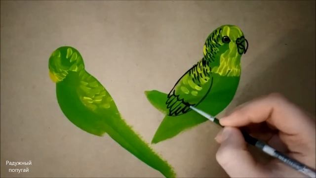 Как нарисовать волнистых попугайчиков! Рисую попугая :) смотреть онлайн