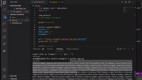 Hide API keys in Python scripts using python-dotenv, .env, and .gitignore