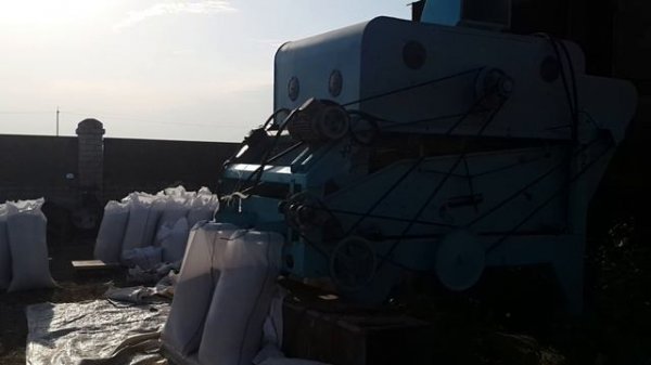 Очистка ячменя. Петкус (Petkus) К 531 Гигант