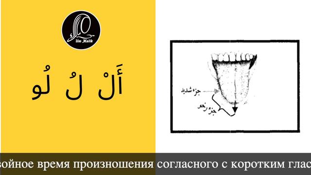 Коран с нуля Практика ЛЯМ لام Арабский алфавит смотреть онлайн