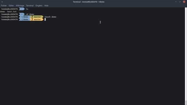 Mettre en place un serveur Web (36/28) : Pimp my shell, Zsh & Tmux смотреть онлайн