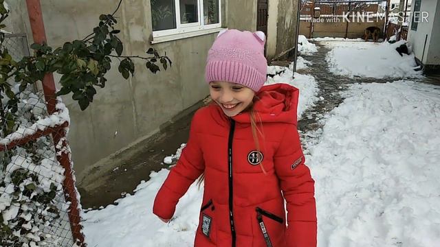 ВЫПАЛ СНЕГ05.01.19/СОБАКИ РЕШИЛИ ВТИХАРЯ ПОГУЛЯТЬ/ ДОМИНИКА ТАНЦУЕТ смотреть онлайн