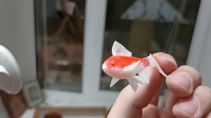 Anycubic Photon mono 4k - косяки нового принтера.