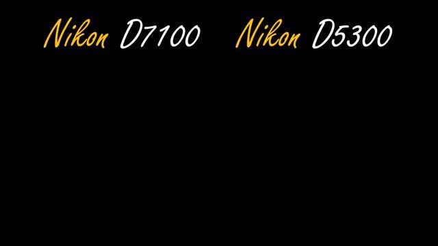 Nikon D7100 vs Nikon D5300 смотреть онлайн