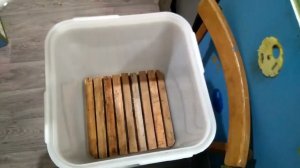 Изготовление домика для восковой моли.Нефтекамск.Пчеловодство.