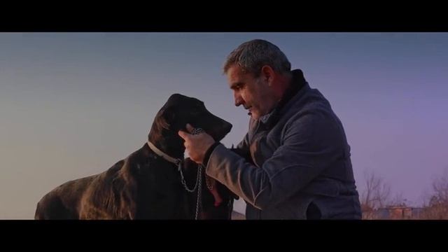 Fuad Ibrahimov Бог Мне Судья 2023 клип смотреть онлайн