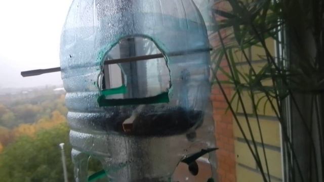 двухуровневая кормушка из пластиковых 5л бутылок смотреть онлайн