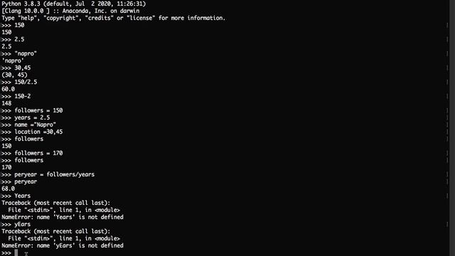 Python programming basics-python variables смотреть онлайн