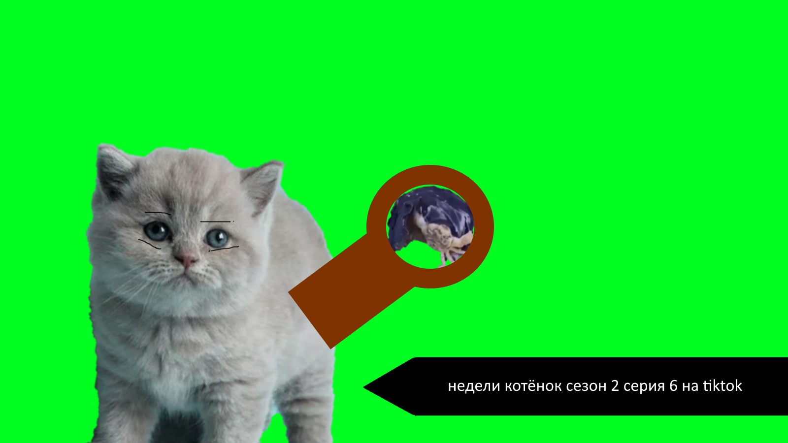 Недели котёнок сезон 2 серия 6 на tiktok смотреть онлайн