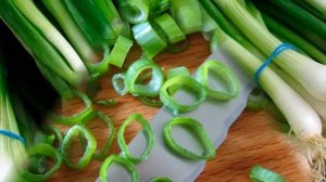 Выращивание зелени в теплице как бизнес идея / Миллион с 6 соток земли