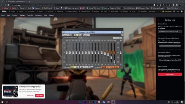 Как сделать оверлей со статистикой валорант / трекер гг