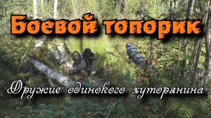 Боевой топорик. Оружие одинокого хуторянина. Находки с металлоискателем