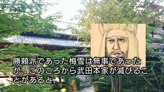 「どうする家康」に学ぶ【日本史】穴山梅雪(信君)の生涯 武田勝頼の伯父で義兄弟の梅雪がなぜ甲州征伐で離反した?戦国時代は家名存続が至難 田辺誠一が熱演 Anayama Baisetu Japan смотреть онлайн