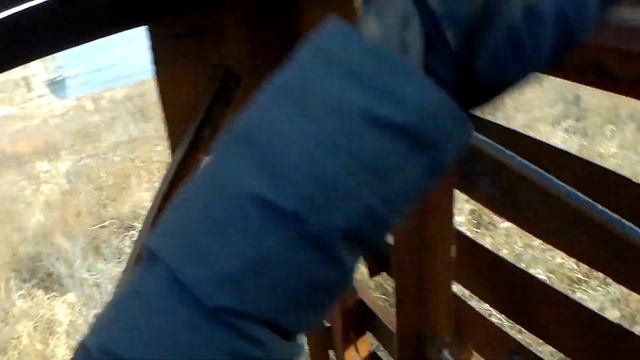 Мыс Тобизина за 6 минут. Мыс Тобизина . Остров Русский. Владивосток. Красивые виды. Сходил бы!? смотреть онлайн