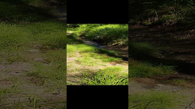 Рядом с природой