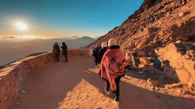 Самый лучший Экскурсии в шарм эль шейх смотреть онлайн