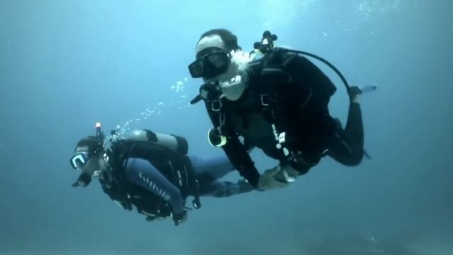 Защищенные камеры Pentax и WG смотреть онлайн