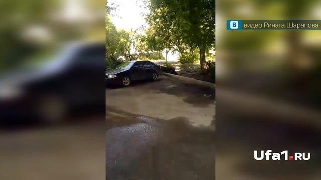 Дерево упало на автомобиль смотреть онлайн