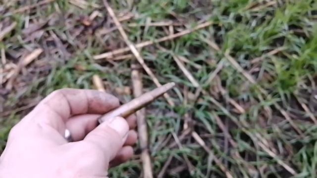 Поход на пол.ст находки очень удивили. Поиск с мд 4080!!! смотреть онлайн