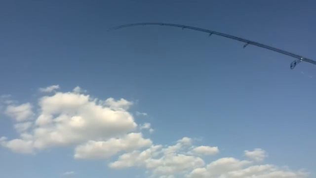 Ловля окуня на отводной поводок смотреть онлайн