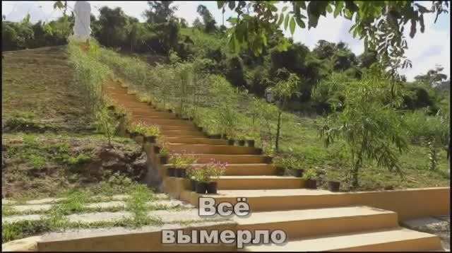 На скутере по Вьетнаму 2 смотреть онлайн