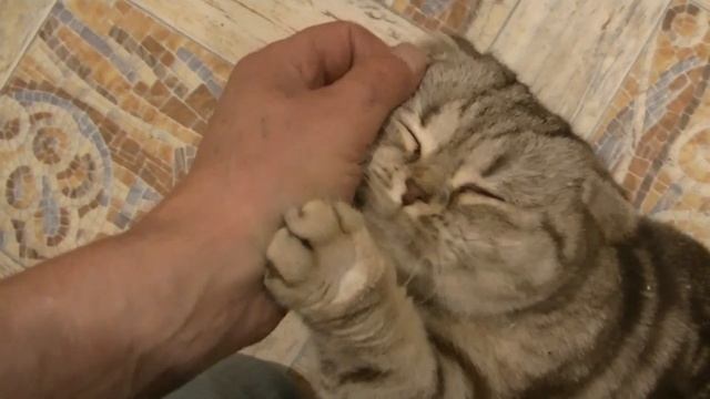 САМАЯ ПОЛЕЗНАЯ КВАШЕННАЯ КАПУСТА,БЕЗ СОЛИ И САХАРА! смотреть онлайн