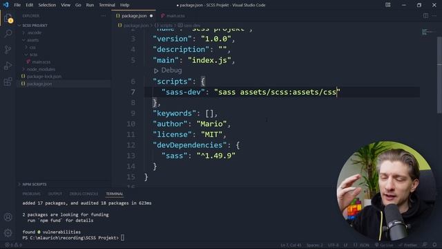 Wie du SASS mit NPM einrichtest und nutzt смотреть онлайн