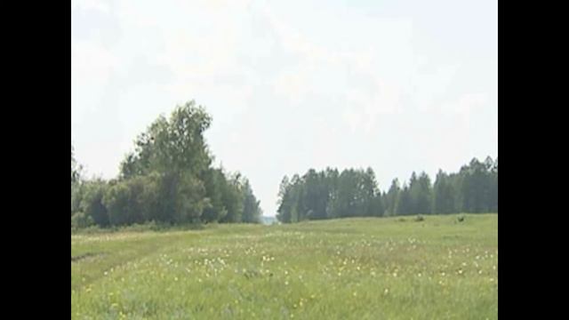 РОманов Сарсын Сарсын сарсыарда