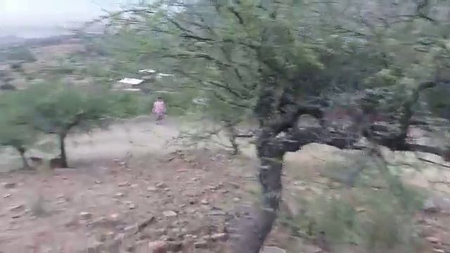 Chura gamoneda descenso y carrera смотреть онлайн
