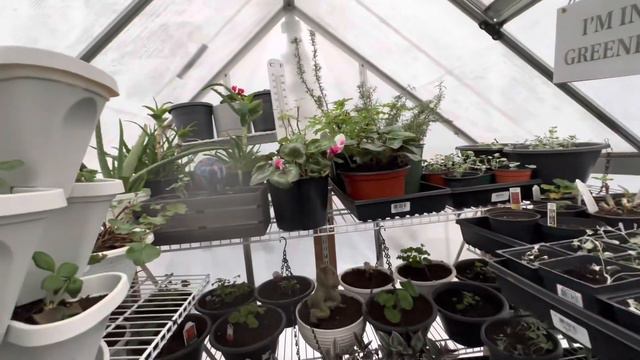 🪴в тепличке уже места нет🌱посевы продолжаются🤔вдохновение не уменьшается🌱🌺влог23-29январь2023г смотреть онлайн