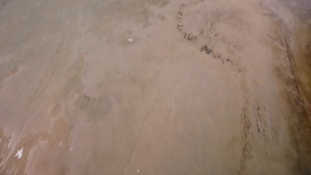 Крутим педали по берегу Финского залива смотреть онлайн