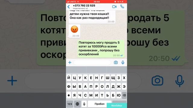 #ЯЖМАТЬ пытается отжать кота бесплатно смотреть онлайн