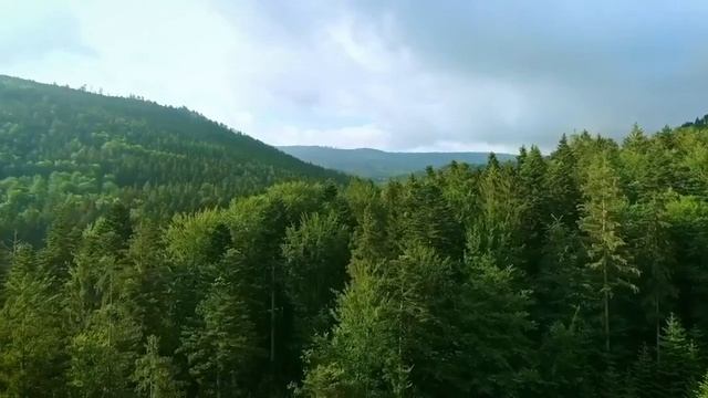 Good Luck Vibes: Night Stream #20 (Sleep Meditation Music, Subliminal, Affirmations, Binaural Beats смотреть онлайн