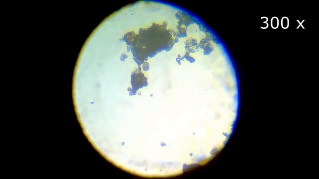 Под микроскопом. Приправы и специи. смотреть онлайн