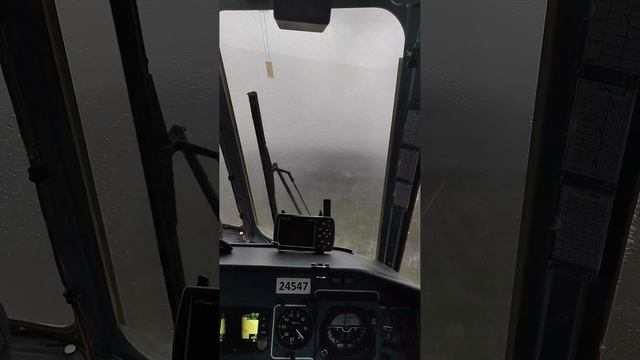 Дождик.mp4 смотреть онлайн