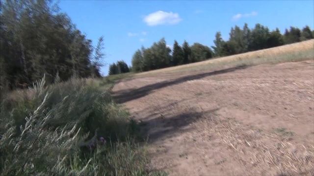 MD 4030 ПОДВЁЛ И АСЬКА 250 НЕ НАШЛА СТОЛЬКО СКОЛЬКО НАШЕЛ Я ГЛАЗАМИ.