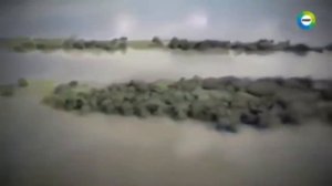 Вся правда об НЛО была рассказана учеными