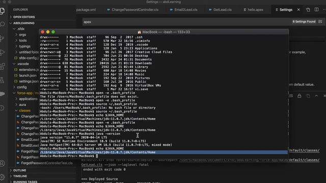 Setting JAVA_Home in Mac | Fixing Java issue in VS CODE for Salesforce смотреть онлайн