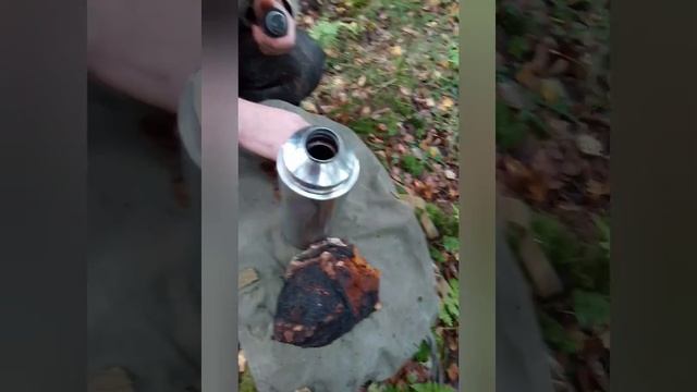 Чага смотреть онлайн