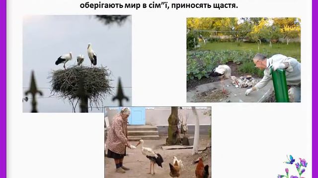 Українські обереги. Презентація смотреть онлайн