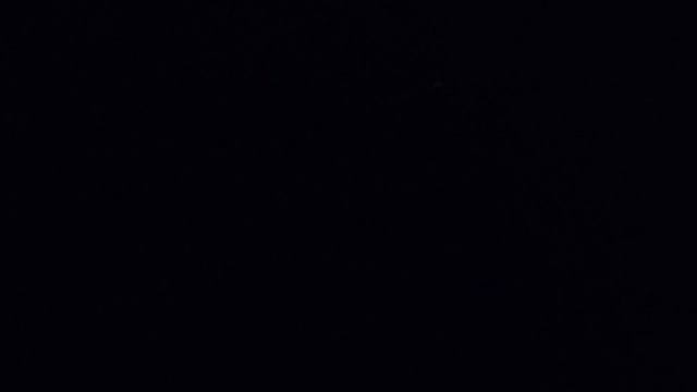 Ночная Рыбалка на Сомов Рядом Аллигаторы 2020 смотреть онлайн