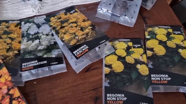Summer Bulbs Part 2 смотреть онлайн