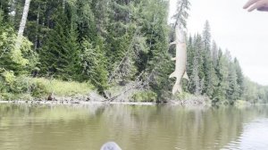 Сплав по реке Вагран. Североуральск