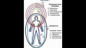 Мой выход из тела.