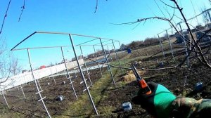 Обрезка яблони 4-х летки на плодоношение в феврале